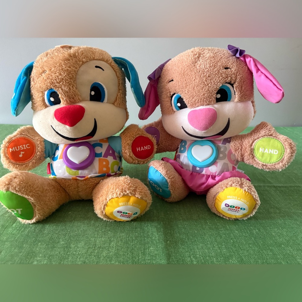 Fisher-Price Interactive Learning Puppy Pair - Pink, Teal & Multicolor